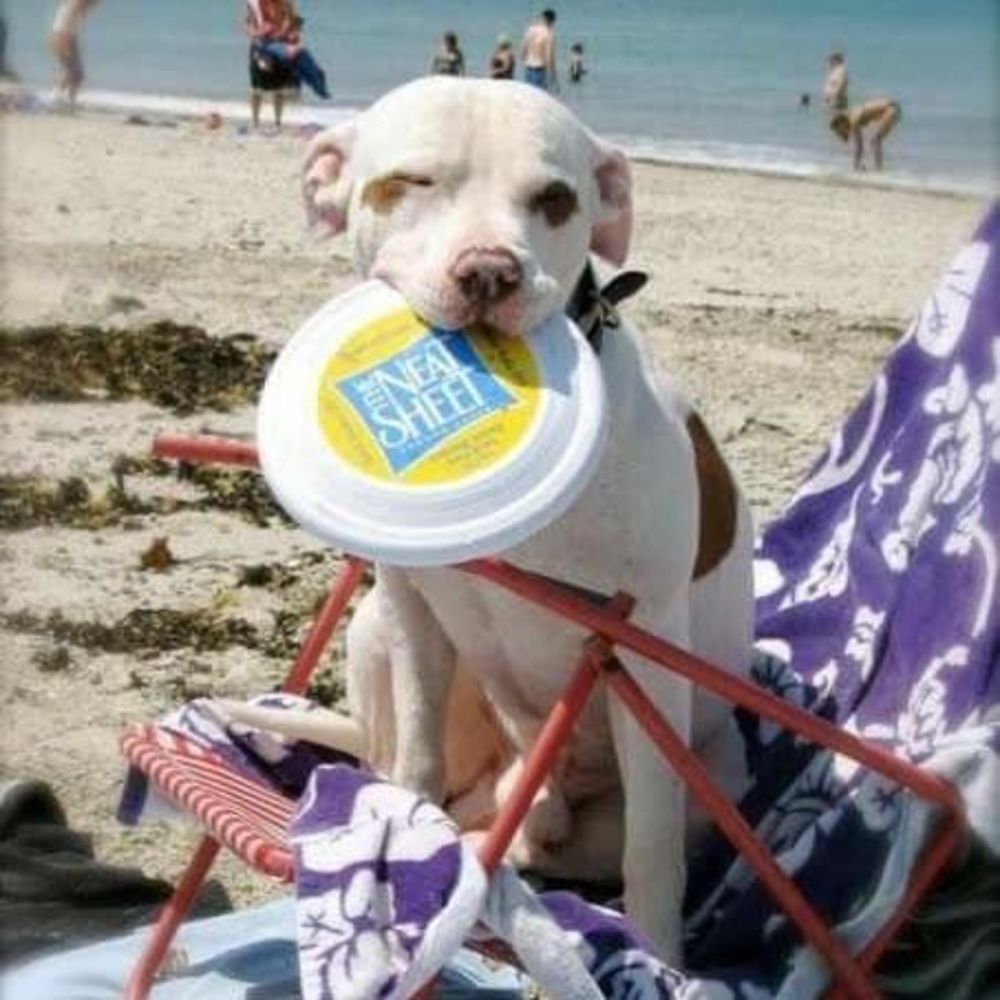 Meet your Posher, Starr